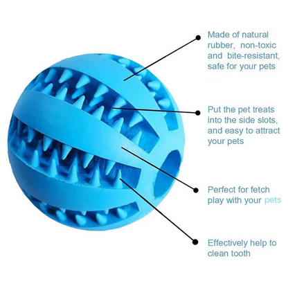 Interactive Treat Ball Toy